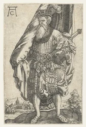 Szabványos hordozó