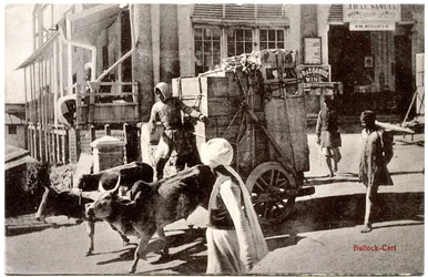 Bullock-Cart, 1900-20 körül