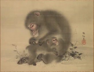 Majmok