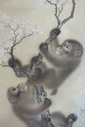 Majmok egy virágzó cseresznyefán, 1 a 2-ből, Mori Sosen, Japán, Edo-korszak, 1800-as évek eleje, tinta és szín, selyem - Arthur M. Sackler Museum, Harvard University - DSC01127