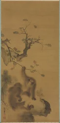Majmok a sziklapárkányon, 1615-1868.