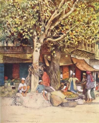 Déli nap, Delhi, 1905