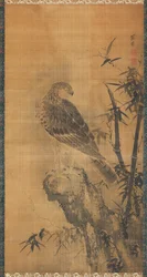 Hawk egy sziklán
