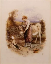 Szamár etetése