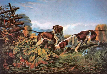 American Field Sports: Egy ponton