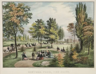 Central Park – A meghajtó