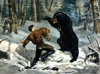 A csapdák élete (professzionális vadászok) Kanadában: Egy vadászt megtámad egy Grizzly Bear. Illusztráció: Yves és Currier.