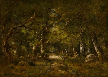 Erdei jelenet