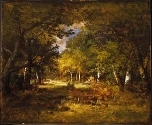 Erdei jelenet