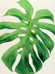 Trópusi monstera levél