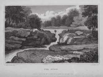 The Strid (metszet)