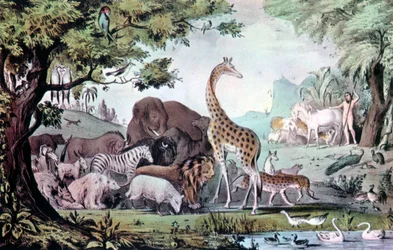 Ádám, a teremtmények elnevezése, 1847.