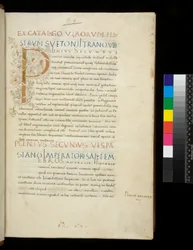 Ms 394,1. Idősebb Plinius, Historia naturalis, f.1r. Világító iniciálé [P] fehér szőlőszár díszítéssel (befejezetlen), Nápoly, 15. század közepe, 1442 körül (pergamen)