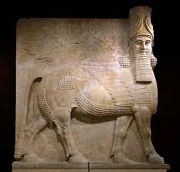 Szárnyas bika a VIII. udvarból II. Sargon király palotájában, Khorsabadban, ie 721-705 (gipsz?)