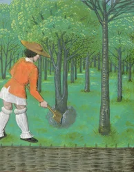 Roy 14 E VI f.28 Férfi ásóval a gyümölcsösben, a "Rustican du cultivement des terres"-ből, kivégezték IV. Edwardért, Bruges