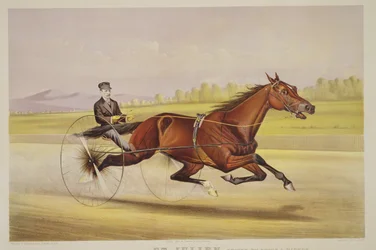 A gyep királya, „Szent. Julien