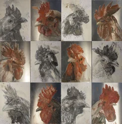 Grillkakasok, 2019 (olaj, alumínium, grafit, papír)