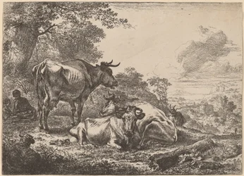 Pihenő tehenek