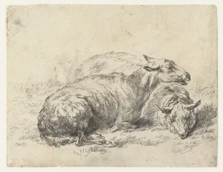 Twee ligende schapen bárány (sorozat címe) Az erős levegő által életre keltett és vízbe nyomott állatok a Nicolai Berchem Stúdió és Művészet által (sorozat címe)