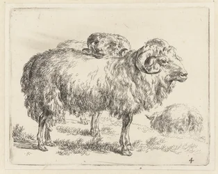 Twee rammen en een schaap Schapen (sorozat címe) Az erős levegő által életre keltett és vízbe nyomott állatok a Nicolai Berchem Stúdió és Művészet által (sorozat címe)