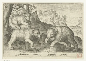 Három medve Animalivm qvadrvpedvm (sorozat címe) Állatok a tájakon (sorozat címe)