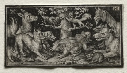 Kétfejű béka állatokkal körülvéve, 1594.