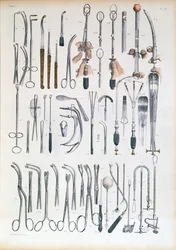Sebészeti műszerek mandulaműtétekhez, Jean-Baptiste Marc Bourgery (1797-1849) „Traite Complet de l
