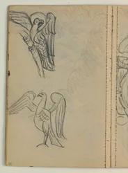 Madarak tanulmányozása, valószínűleg a publikáció után