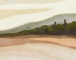 Saguaro-sivatagi dombok