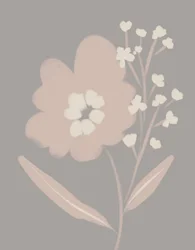 Soft Blush Botanicals