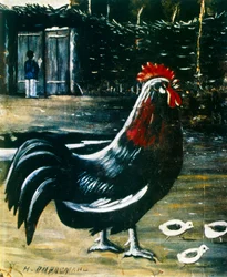 Kakas