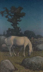 Fehér ló alkonyatkor
