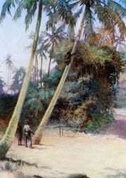 Mászás a zöld kókuszdió után, 1908