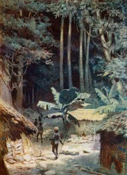 Egy melanéz erdő mélyén, 1908