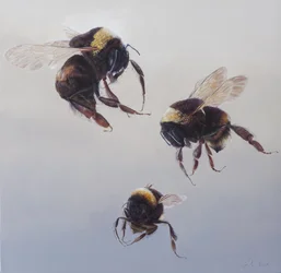 Bombus repülés 1, 2011 (akril, fa)
