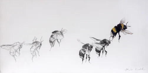 Flight pattern, 2014 (ceruza, akril, gesszált fára)