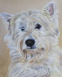 Hamish, 2011 (akril, fa)