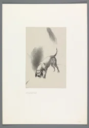 Olyan furcsa arckifejezéssel bámult rám The High House, 6 litho