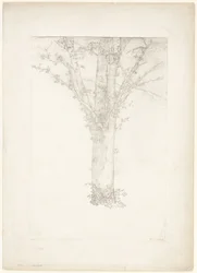 Fa
