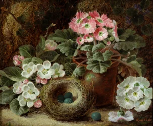 Virágok (primrózsa) és madárfészek. Oliver Clare (1853-1927 körül) festménye Magángyűjtemény.