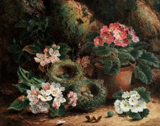 Almavirágok és primrózák. Oliver Clare (1853-1927 körül) festménye Magángyűjtemény.