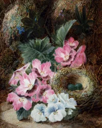Csendélet madárfészekkel és ibolyákkal. Oliver Clare (1853-1927 körül) festménye Magángyűjtemény.