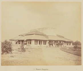 Planter bungaló