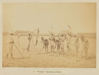 „Tumnie” (földeket forgat)