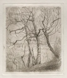 Fák, 1878.