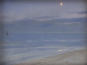 Skagen partja holdfényben