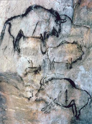 Sérült bölény, Magdalén (barlangfestés)
