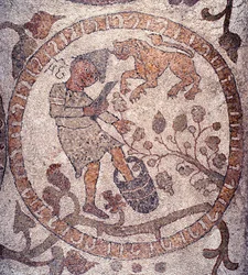 Augusztus: egy fríg sapkát viselő paraszt leszedi a szőlőt és összetöri egy vödörben. Az oroszlán jele reprezentatív. Pantaleone mozaikja, pap és mozaik. 1163-1166. Otranto székesegyház központi hajója (Otranto), Olaszország