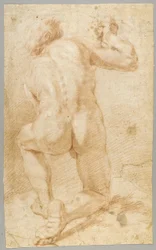 Rajzolás