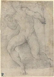 Higany